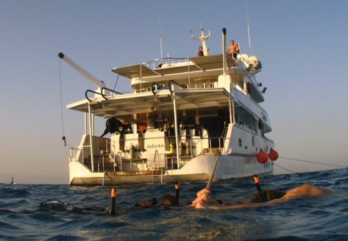 Freediving liveaboard holiday onboard 'Mistral' in Red Sea, Egypt