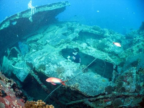 Freediver on the Thistlegorm wreck in the Red Sea, Egypt Freediver on the Thistlegorm wreck in the Red Sea, Egypt
